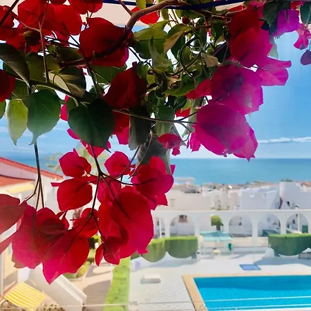 Seaview La Mata Pool&beach Apartment *